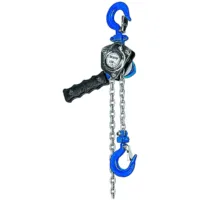 Equipo elevador polipasto cadena BRAVO™ con cadena de acero