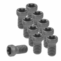 Juego de tornillos para plaquita 10 piezas 8