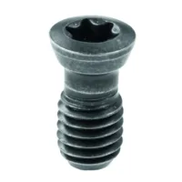Tornillo de amarre TORX TX20