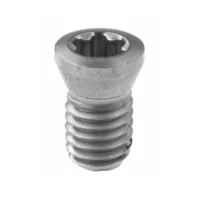 Tornillo de amarre