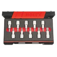 Juegos de dados de punta Torx®, cuadro de 1/2 pulgada 10 piezas