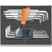 Juego 9 llaves Allen hexagonales 13 llaves Torx con espuma de almacenaje